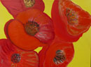 Anita Kilbert / Poppy Flower