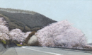 渡部　正廣 / 桜の咲く道