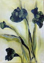 Sibylle KarolaMoeller　　　GREEN PLANTS ANDTREES FOR THEWORLD