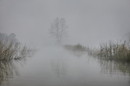 An, Seen-Ja　　　Water mist／水霧or 川霧